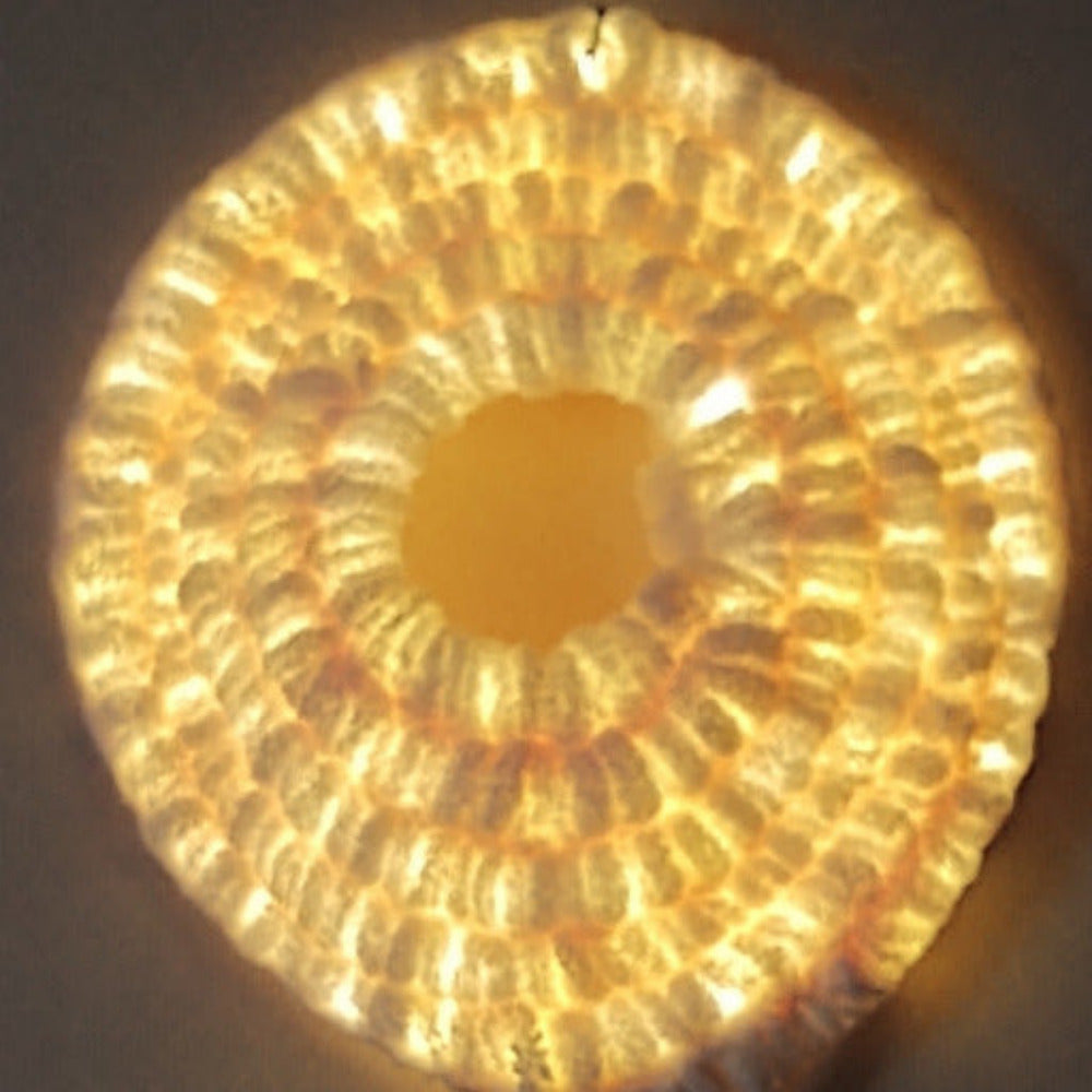 Crochet Circular Nightlight