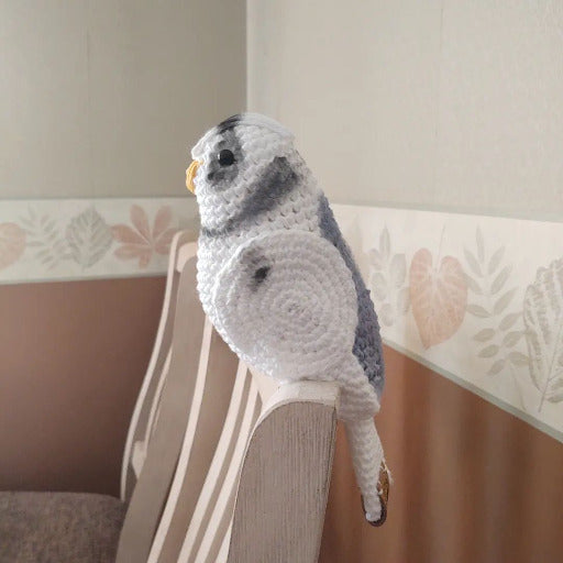 Side of gray budgie on chair back