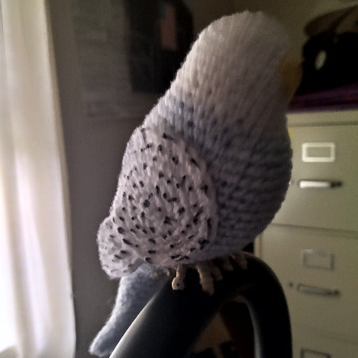 Side view of unfinished budgie