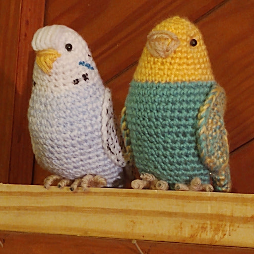 Blue Budgie and Yellow and Green Budgie