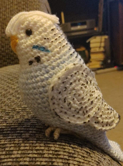 Baby Blue Budgie